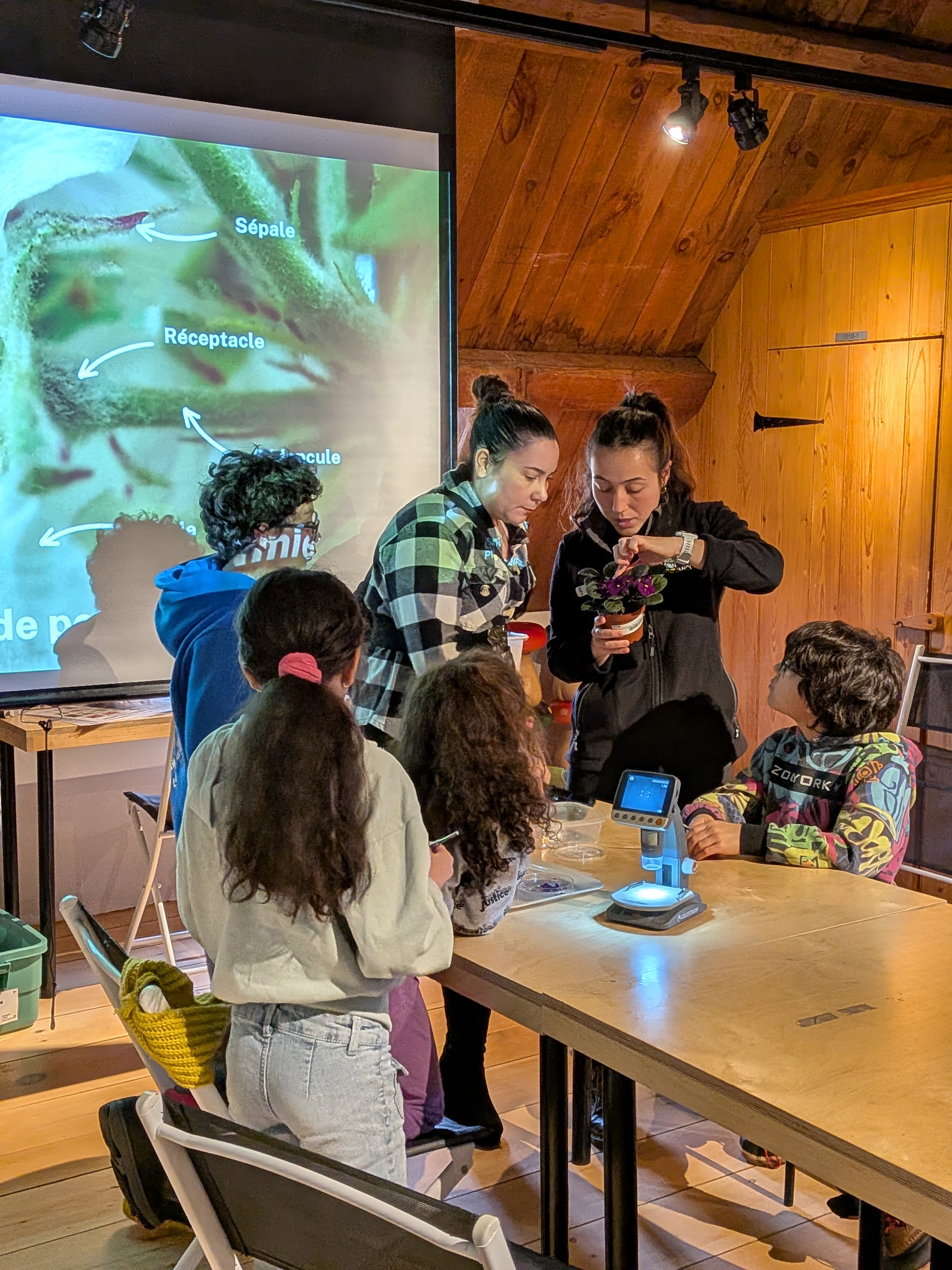 Atelier de dessin à la Maison Tessier-Dit-Laplante